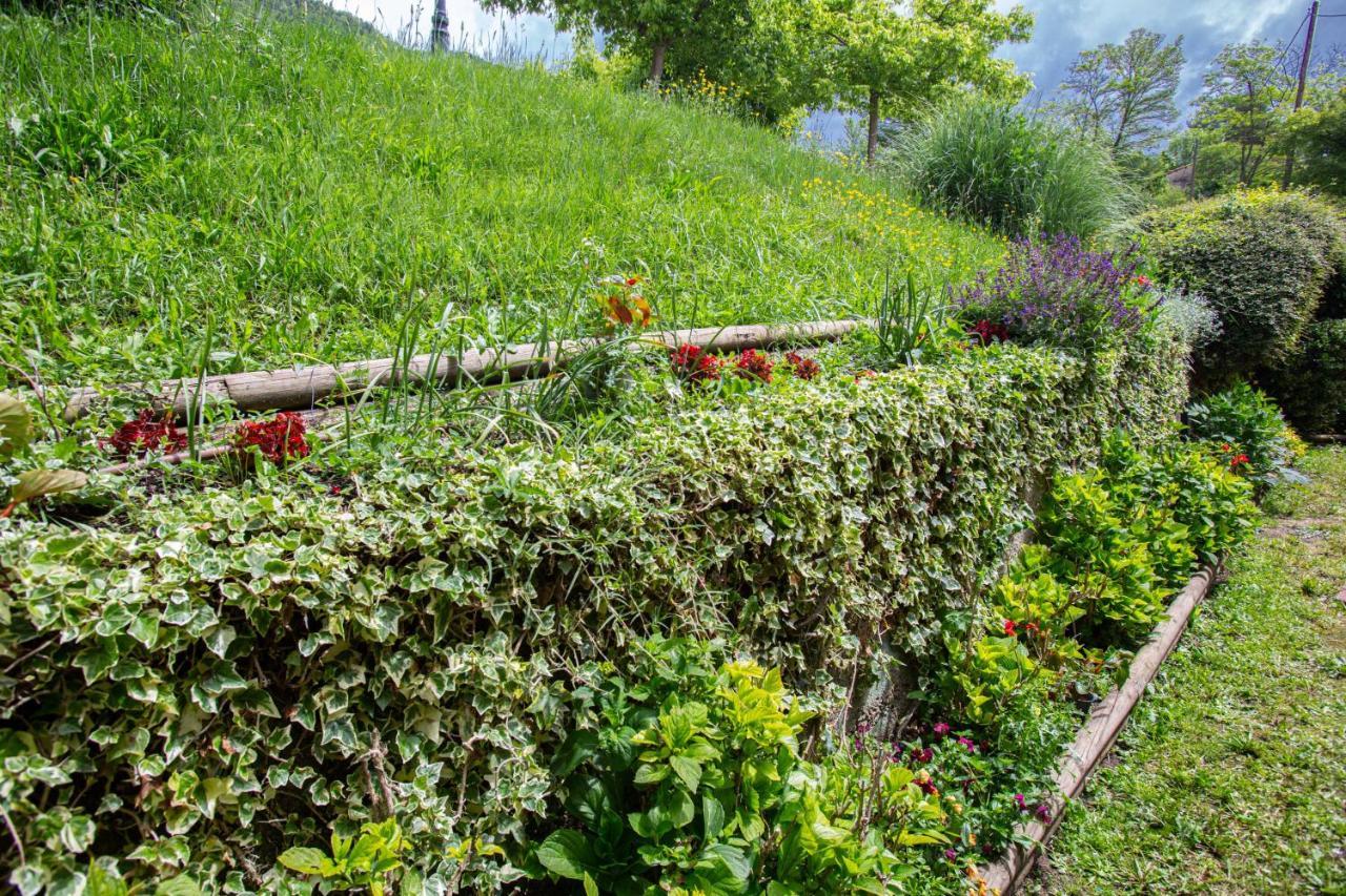 L'Ado Villa Ripoll Eksteriør bilde