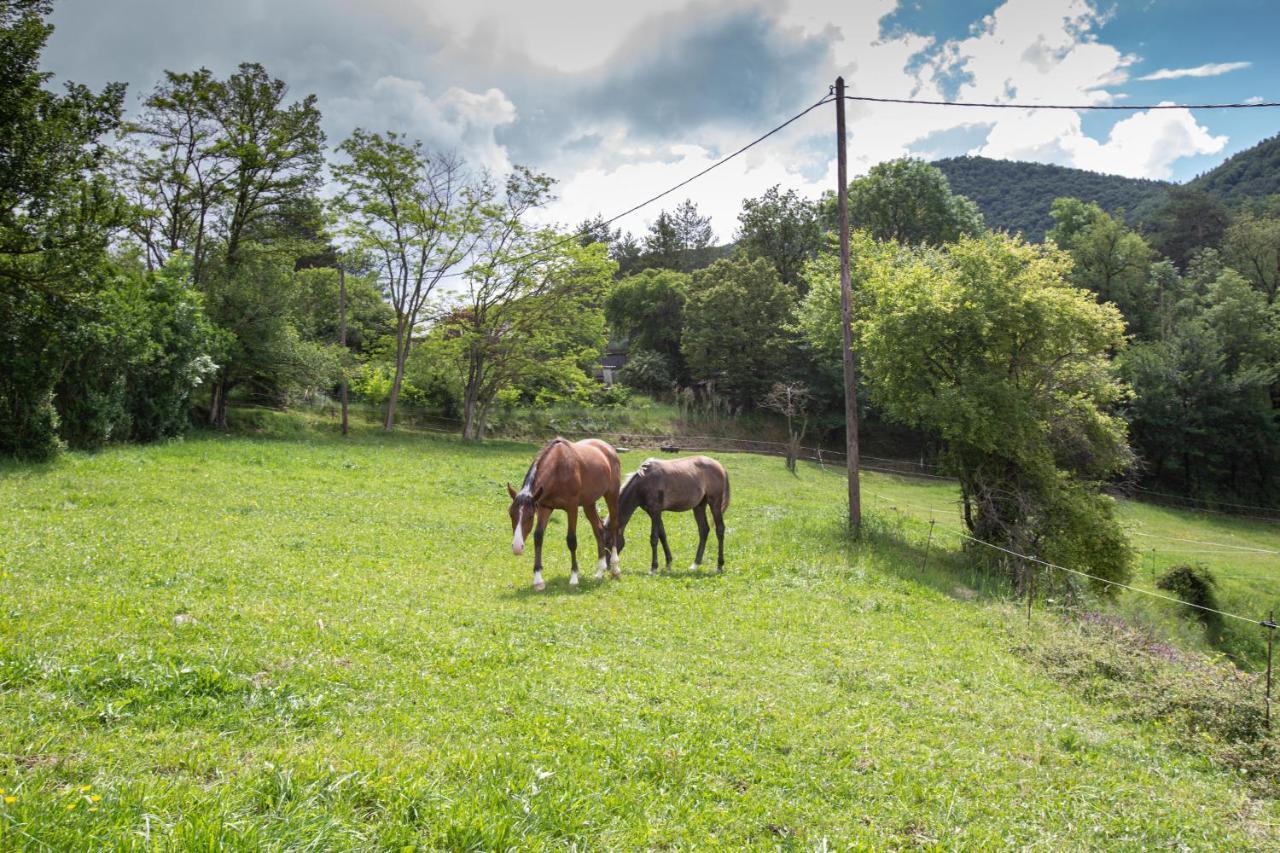 L'Ado Villa Ripoll Eksteriør bilde